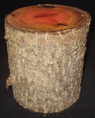 EXOTIC PINK IVORY Wood Turning Log Blank Lathe 6 1/4 x 7 3/4  
