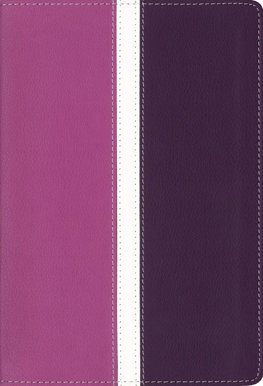   Bible Compact Italian Duo Tone Dark Orchid Deep Plum Purple Thin